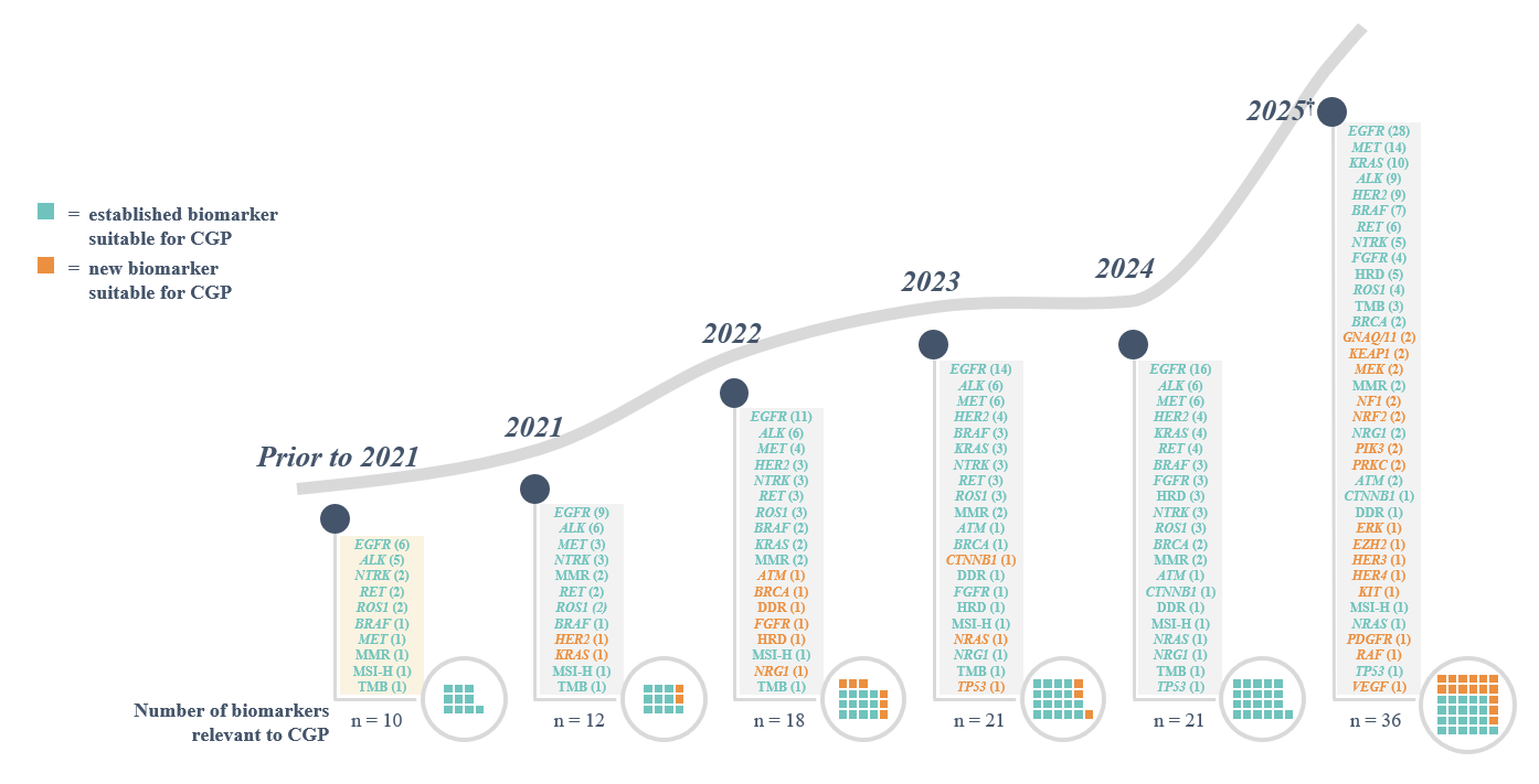 Graphic showing biomarkers likely to have approved targeted therapies for non-small cell lung cancer from 2021 to 2025.