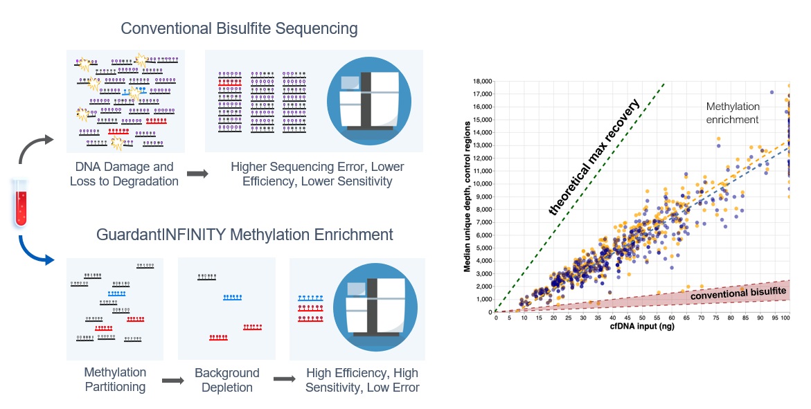 The non-destructive enrichment of methylated DNA molecules allows lower DNA inputs and significantly increases the molecule recovery, thus improving assay sensitivity and specificity.