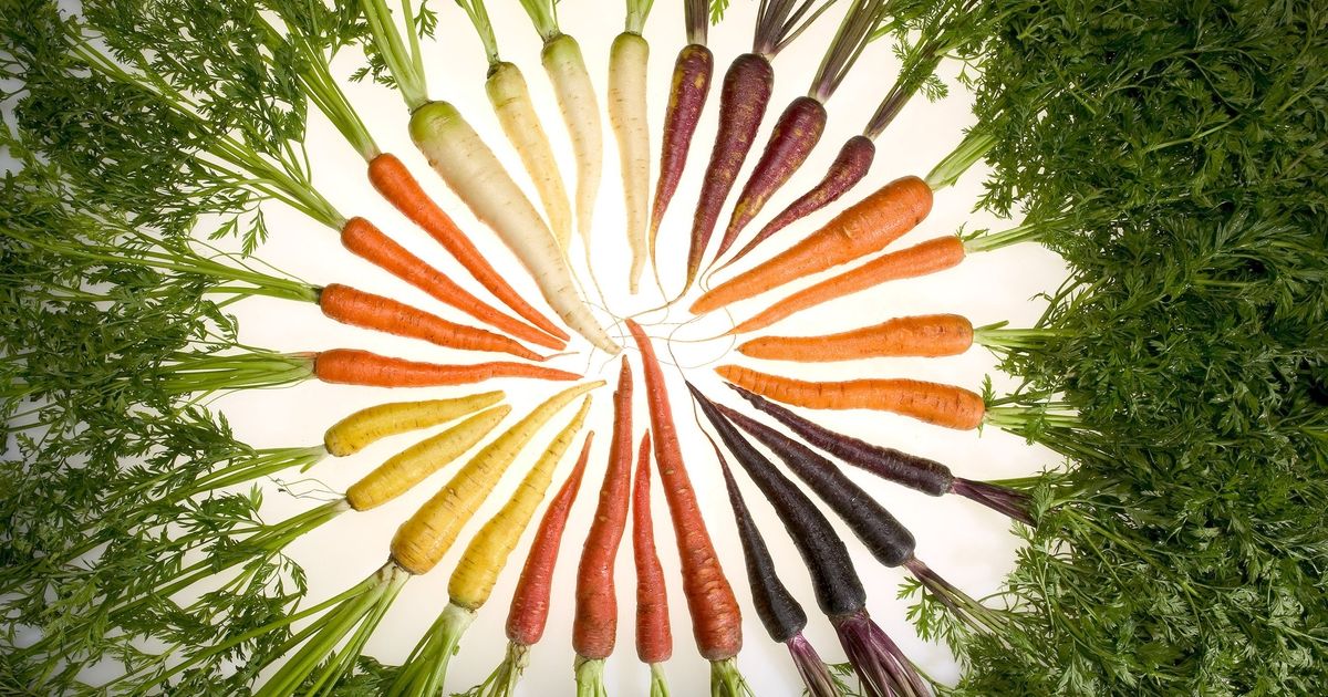 Carrot Genome Sequenced Genome