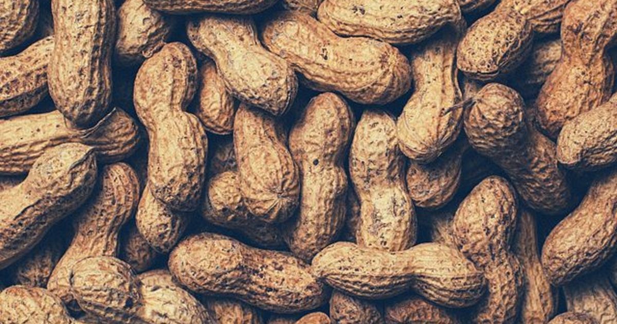 Acute Peanut Allergy Contributors Suggested by Blood Transcriptomic