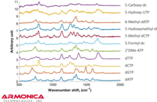 Raman spectra for modified DNA bases. Image Credit: Armonica Technologies.