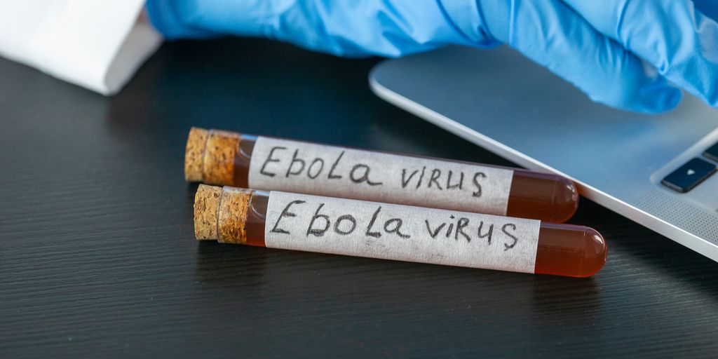 ebola tobacco Tobacco-derived 'plantibodies' enter the fight against Ebola Vaccine Antibodies Are Made