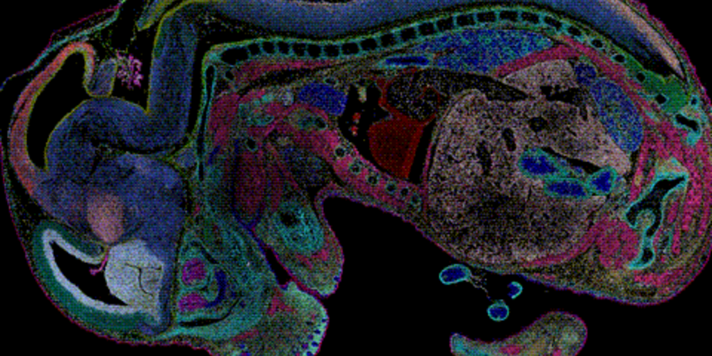 BGI Fosters Adoption of Stereo-Seq Spatial Transcriptomics Technology - Vimarsana News
