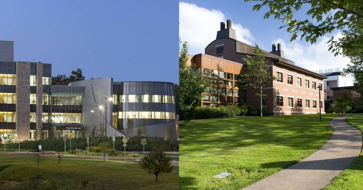 With New Chief Data Science Officer, Jackson Lab Eyes Overarching