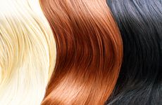 Candidate Hair Color Variants Identified in Meta-Analysis of Canadian  Cohort | GenomeWeb