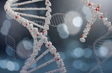 cell-free DNA fragments