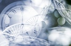 Biological clock generic