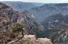 Copper Canyon Tarahumara Sierra Mexico
