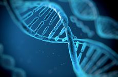 DNA