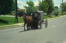 Old Order Amish horse and buggy