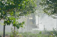 Pesticide