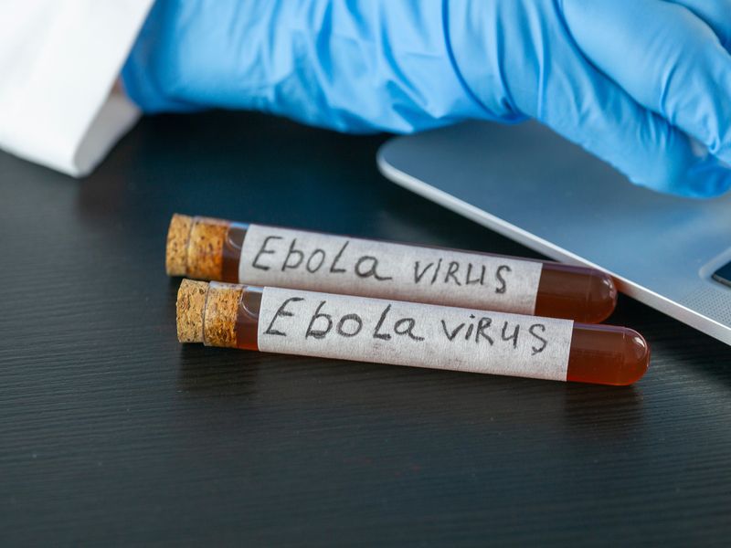 ebola tobacco puts focus on plant use Ebola, Smoking, and Mission Creep